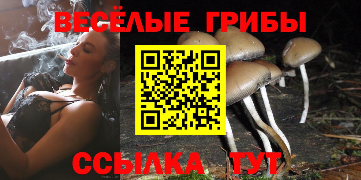 Псилоцибиновые грибы прущие грибы Чусовой