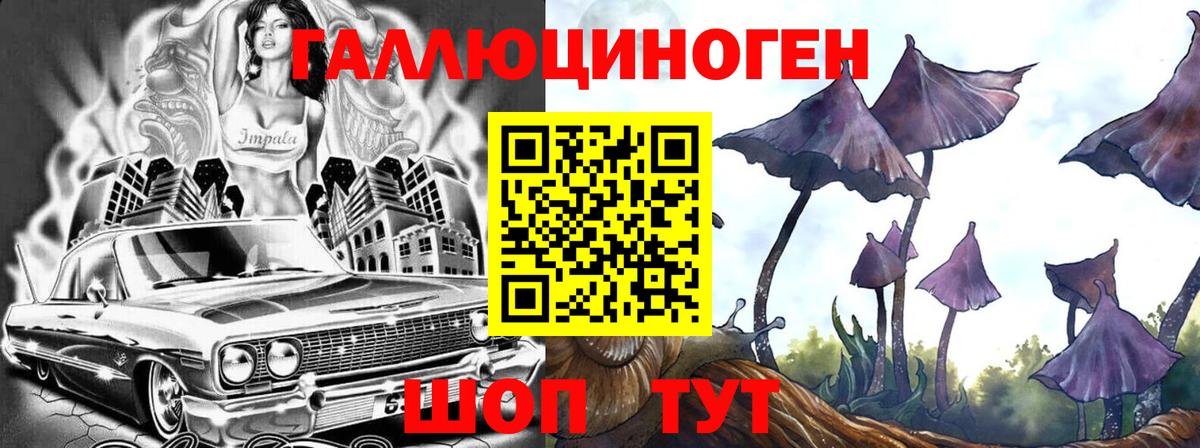 хочу   Псилоцибиновые грибы Psilocybe  Вход с VPN  Чусовой 